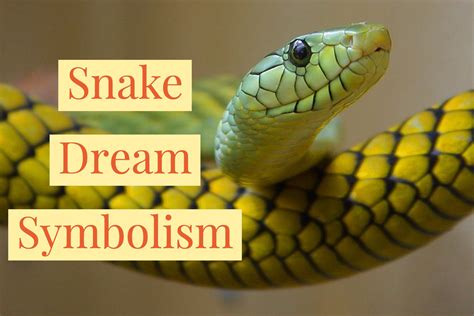 The Symbolism of the Golden Cobra in Your Dream